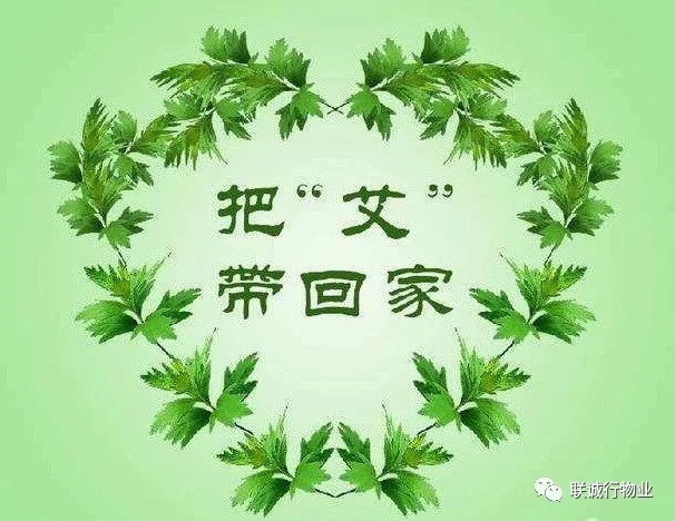 株株“愛意”（艾葉）草”，綿綿情意長