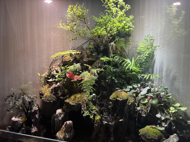 春暖花開，物業(yè)客服前臺(tái)綠植養(yǎng)護(hù)日記