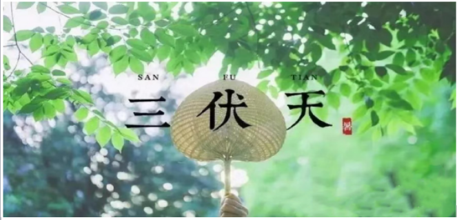 “三伏”駕到，科學(xué)防暑